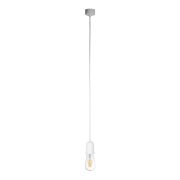 Подвесной светильник Loft IT Sherwood 10091