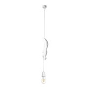 Подвесной светильник Loft IT Sherwood 10092