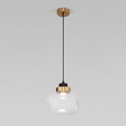 Подвесной светодиодный светильник Eurosvet Jeffry 50241/1 Led прозрачный