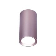 Потолочный светильник Ambrella light Techno Spot TN220
