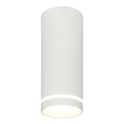 Потолочный светодиодный светильник Escada 20009SMU/02LED SWH