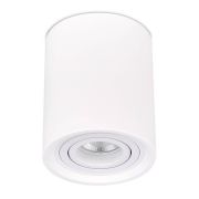 Потолочный светильник ST Luce ST156.502.01