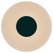 Настенный светодиодный светильник Mantra Venus 8013
