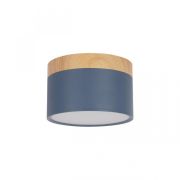 Накладной светодиодный светильник Loft IT Grape 10162 Blue
