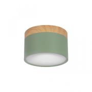 Накладной светодиодный светильник Loft IT Grape 10162 Green