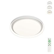 Потолочный светодиодный светильник Denkirs Cany DK6515-WH
