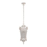Уличный подвесной светильник Loft IT Tremezzo 100019P WBG