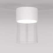 Потолочный светодиодный светильник Elektrostandard Lumen 25047/LED 10W 4000К белый/прозрачный a064710