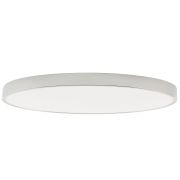 Потолочный светодиодный светильник Zortes Tortty ZRS.02565.120