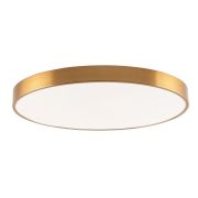 Потолочный светодиодный светильник Zortes Tortty ZRS.02566.96