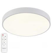 Потолочный светодиодный светильник Natali Kovaltseva LED LAMPS 81112/5C