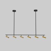 Потолочный светильник 20252/6 LED черный/латунь