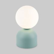 Настольный светильник со стеклянным плафоном 16039 Miki