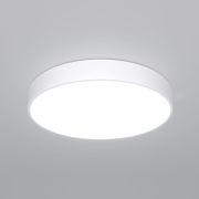 Потолочный светильник 90320/1 белый