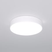 Потолочный светильник 90319/1 белый