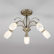 Потолочная люстра со стеклянными плафонами 30280/5