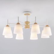 Люстра потолочная с плафонами 70085/8 белый