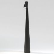 Светильник светодиодный настольный Elite черный TL70250