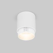 Потолочный светодиодный светильник Cors 25032/LED 10W 4200K белый