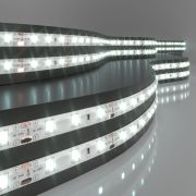 Светодиодная лента 24 В 4,8 Вт/м 60 Led/м 2835 IP65, холодный белый 6500K, 5 м Лента светодиодная 24V 4,8W 60Led 2835 IP65 холодный белый, 5м