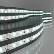 Светодиодная лента 12 В 4,8 Вт/м 60 Led/м 2835 IP65, холодный белый 6500К, 5 м Лента светодиодная 12V 4,8W 60Led 2835 IP65 холодный белый, 5м
