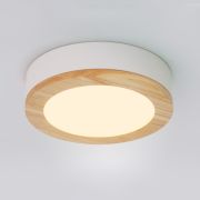 Потолочный светильник WUDDA D50 Белый