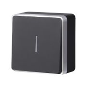 Выключатель одноклавишный с подсветкой Gallant черный с серебром W5010134 W5010134